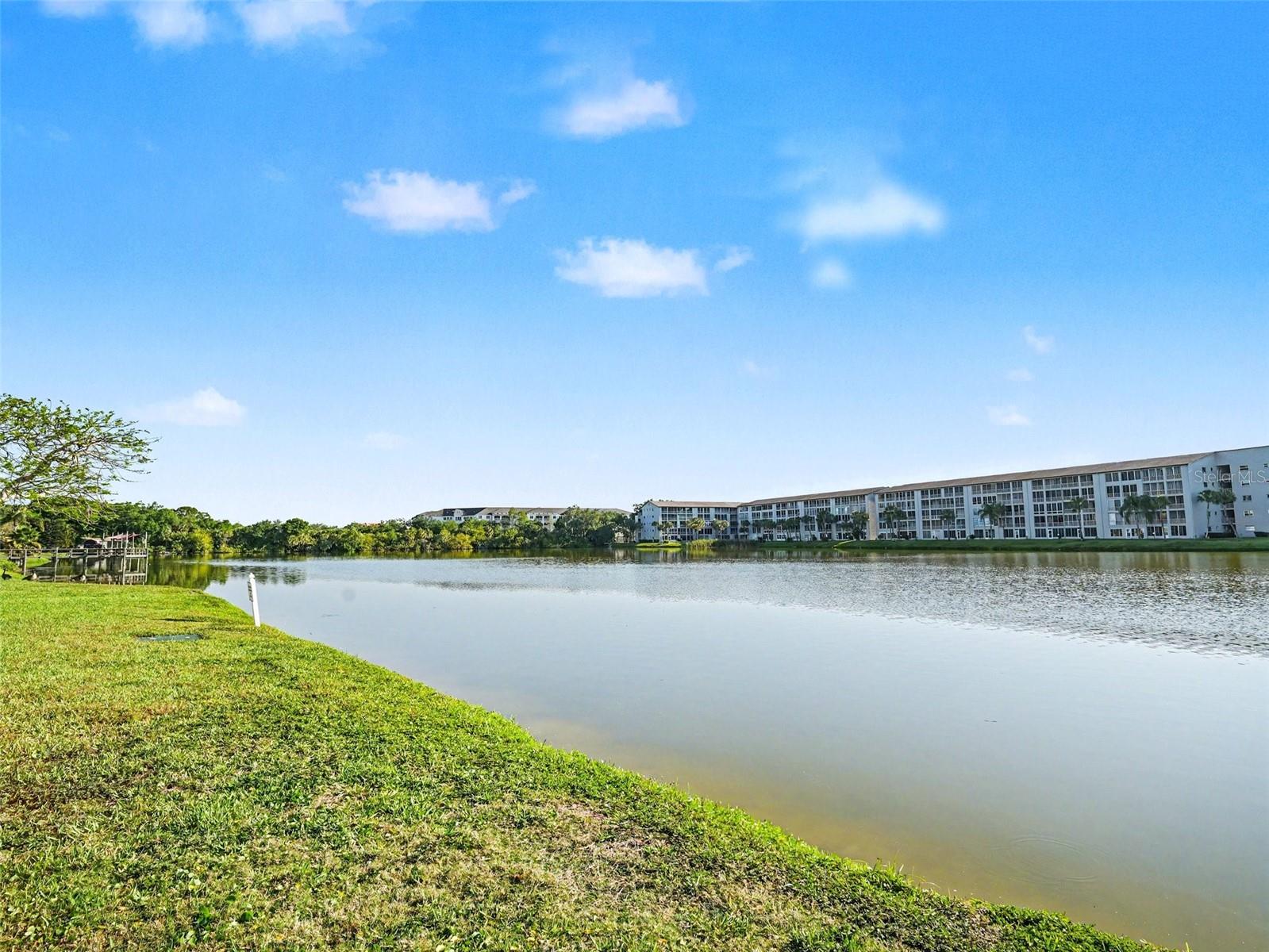 3915 LAKE BAYSHORE DR #306 — photo 19