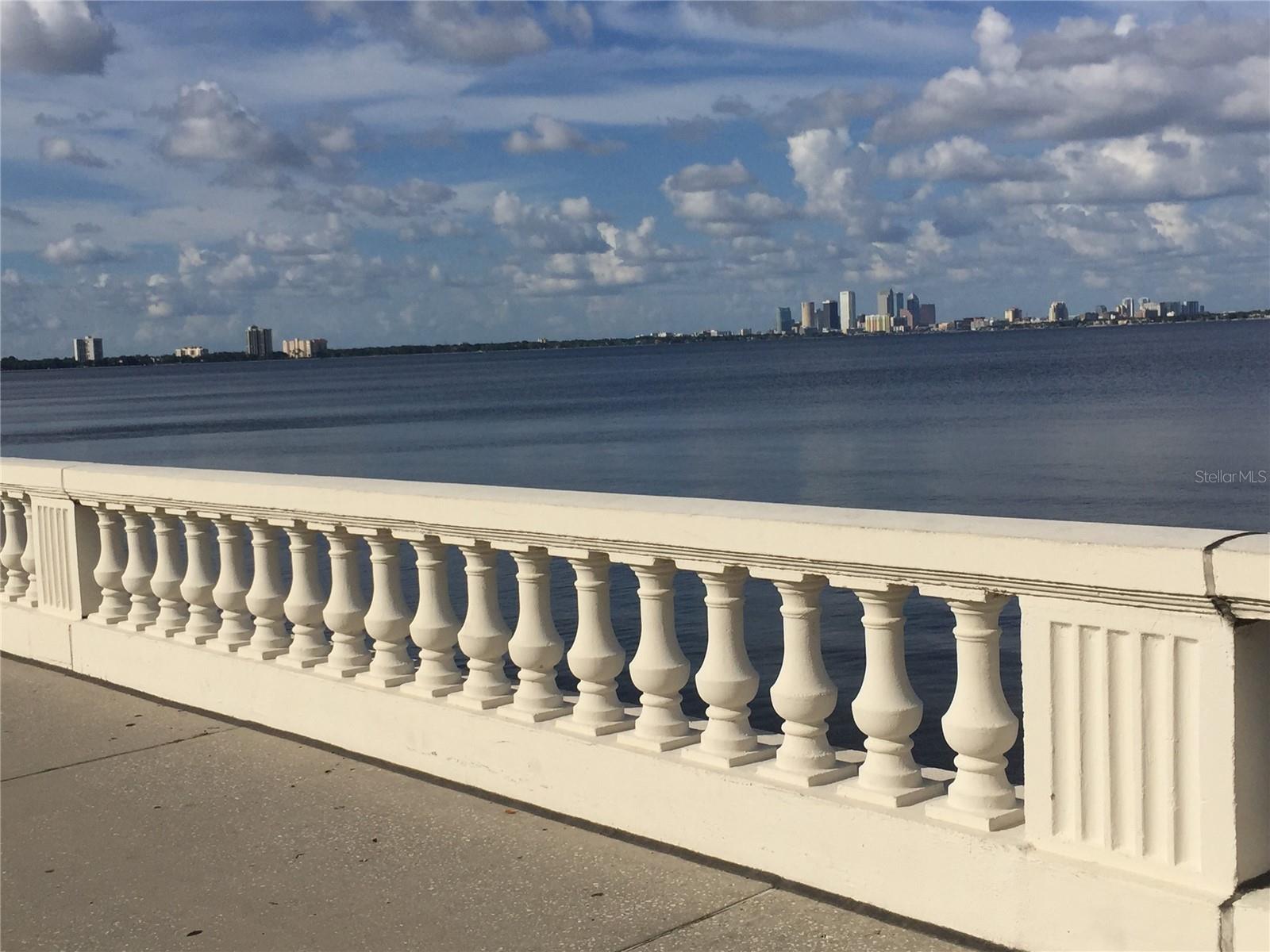 5300 BAYSHORE BLVD #A5 — photo 20