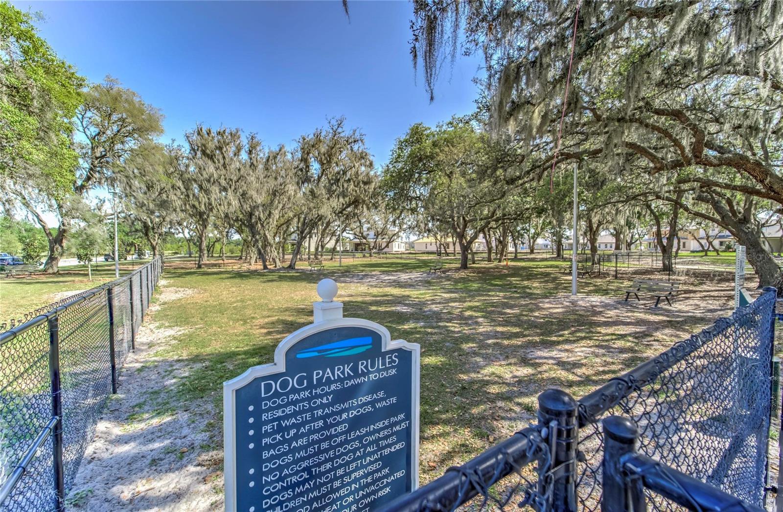 13128 ROYAL PINES AVE — photo 47