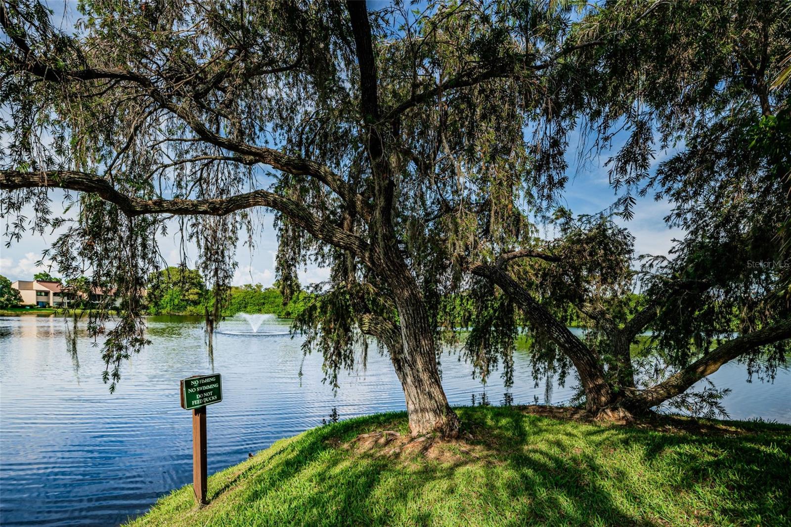 781 VILLAGE LAKE TER N #101A — photo 49