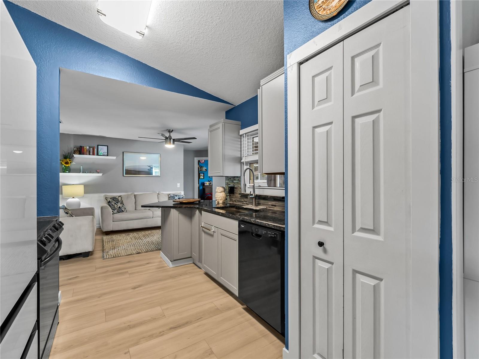 1729 MILAN ST — photo 16