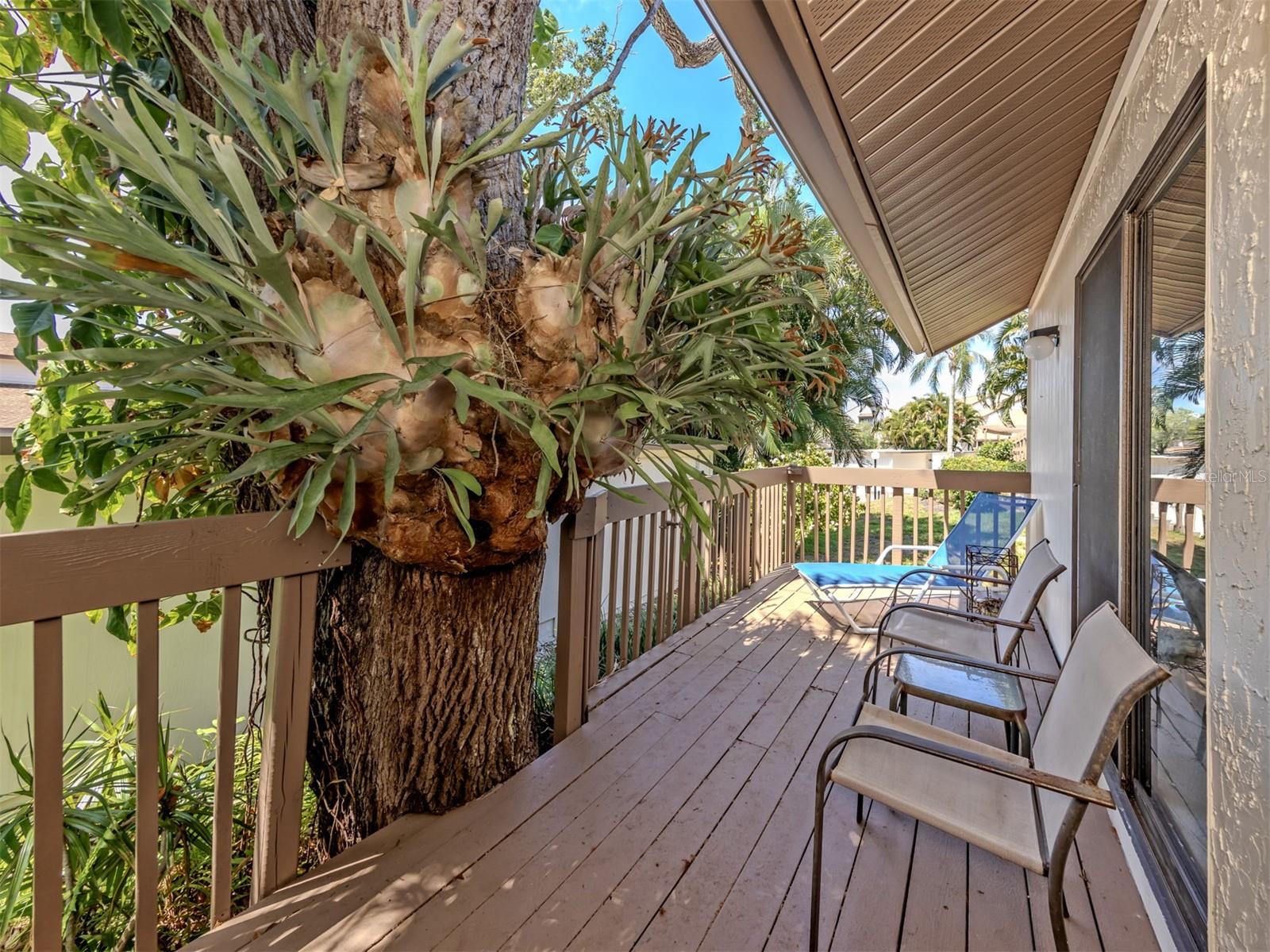 868 BIRD BAY WAY #197 — photo 4