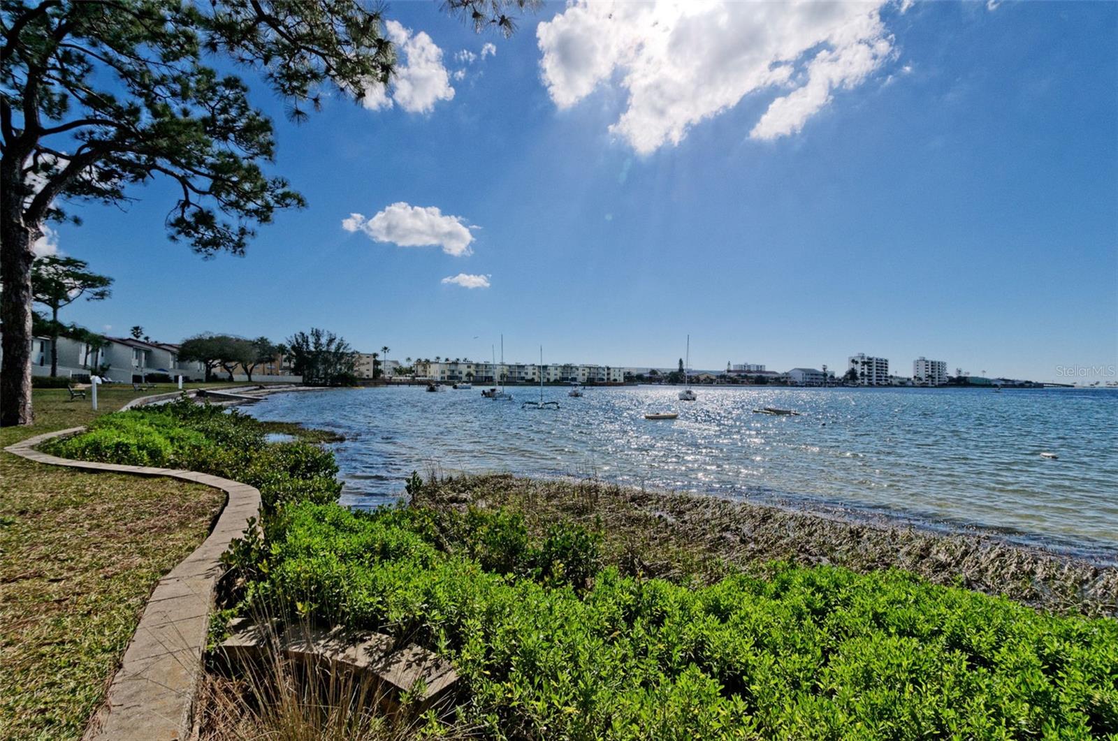 2700 BAYSHORE BLVD #525 — photo 61