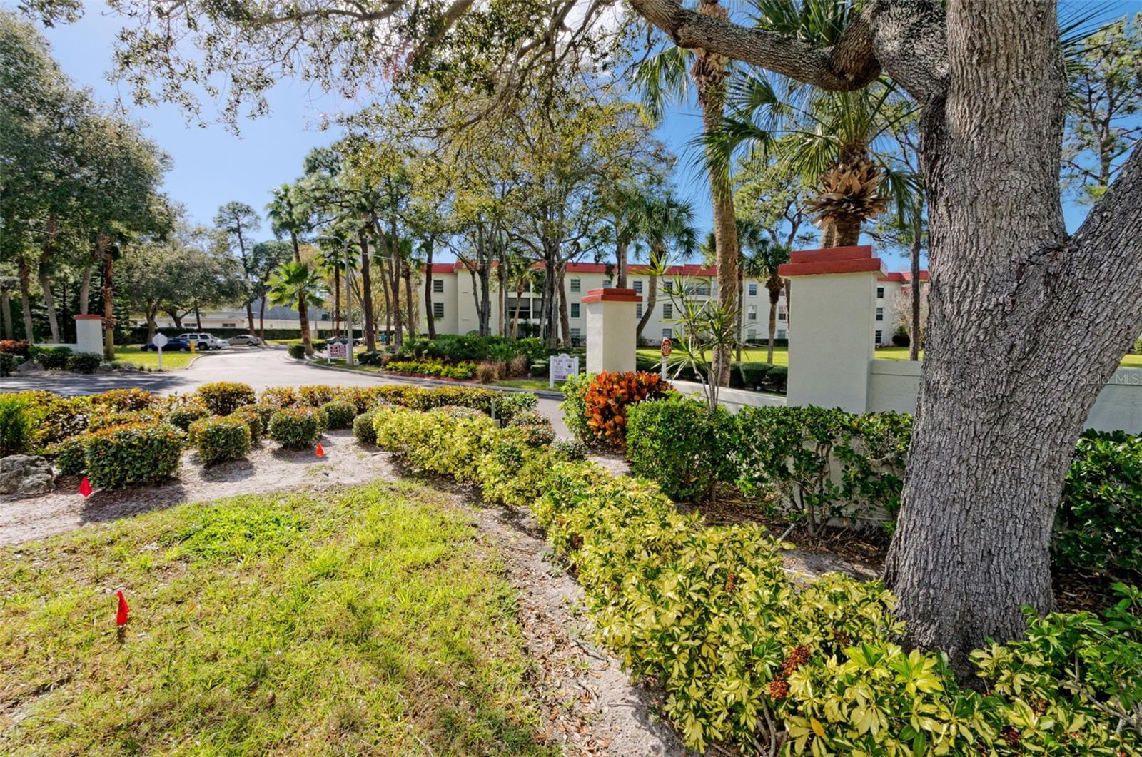 2700 BAYSHORE BLVD #525 — photo 47