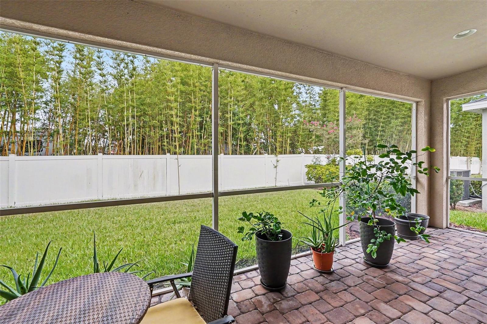 7907 SILVER CLOVER CT — photo 13