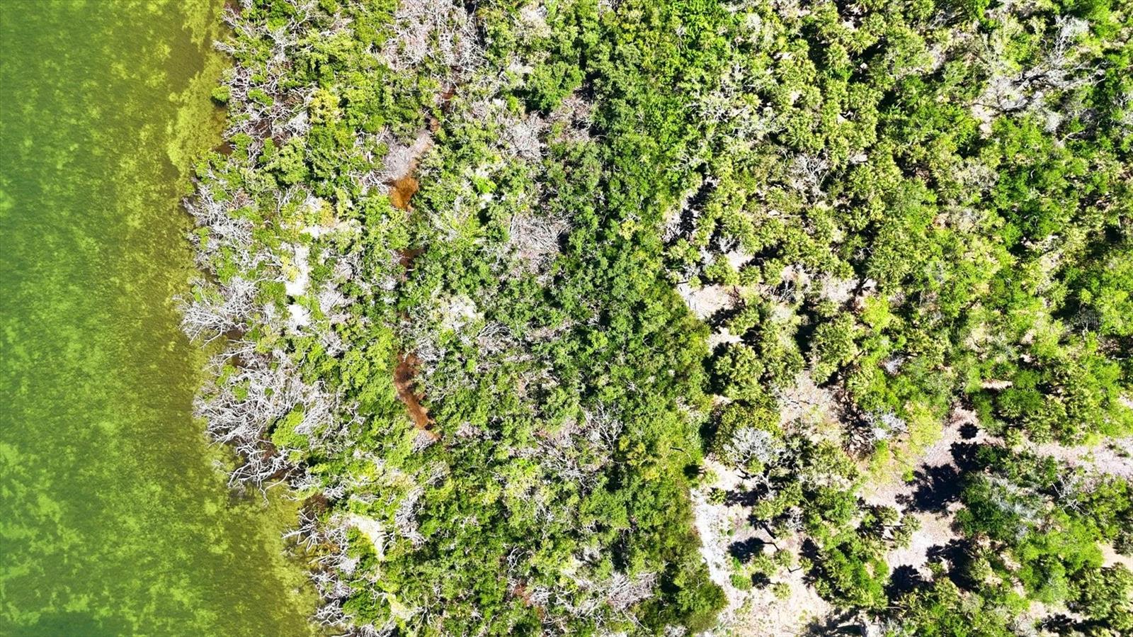 0 MANASOTA KEY RD — photo 18