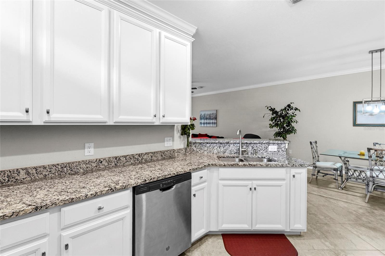 12055 AMICA LOOP — photo 18