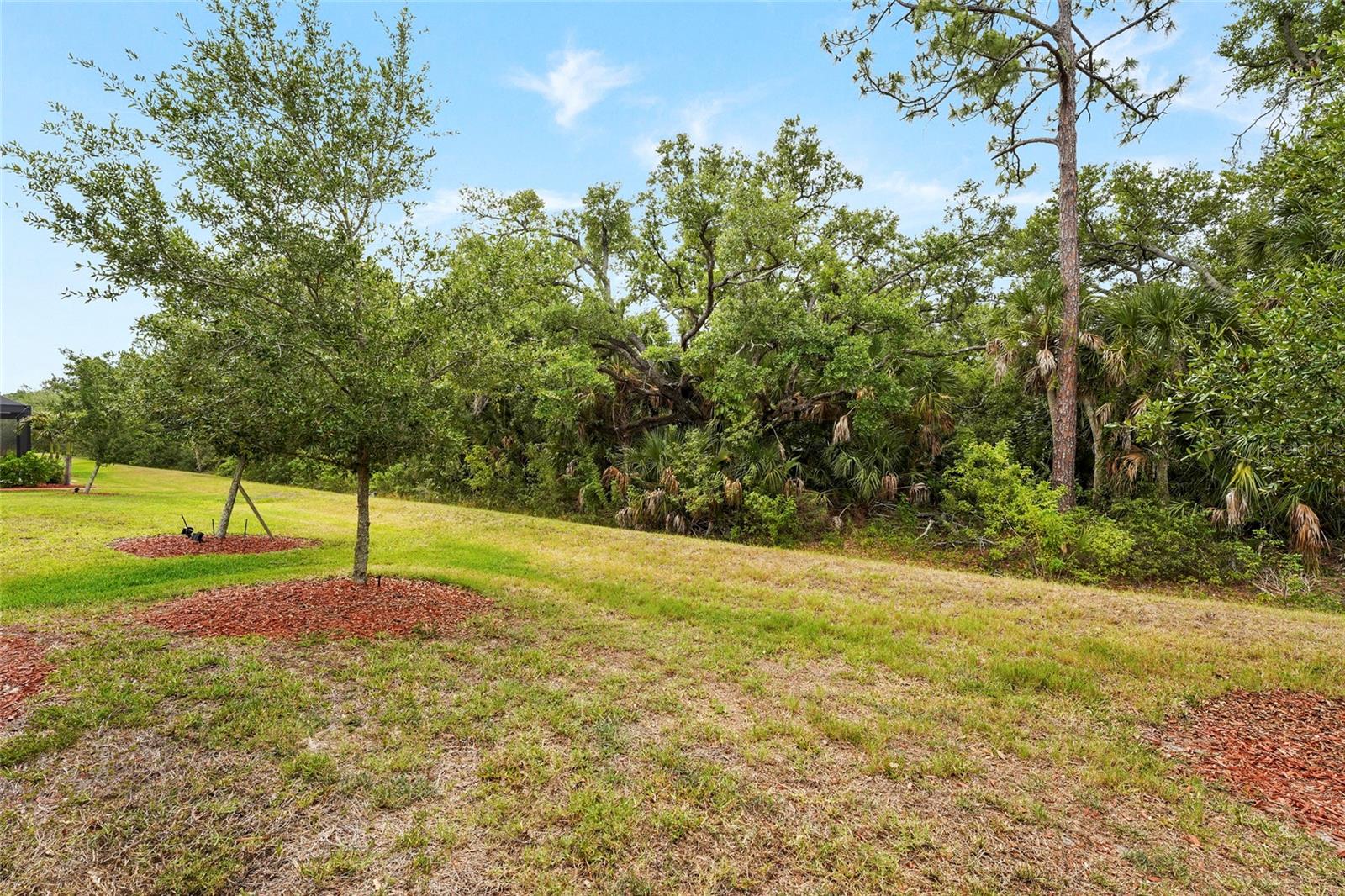 12055 AMICA LOOP — photo 49