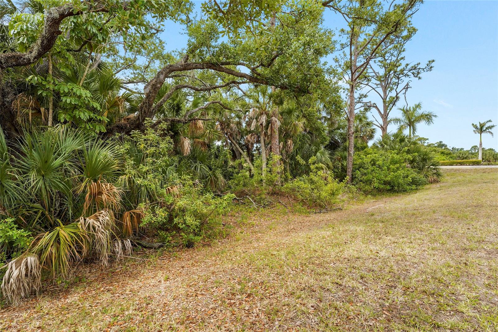 12055 AMICA LOOP — photo 50