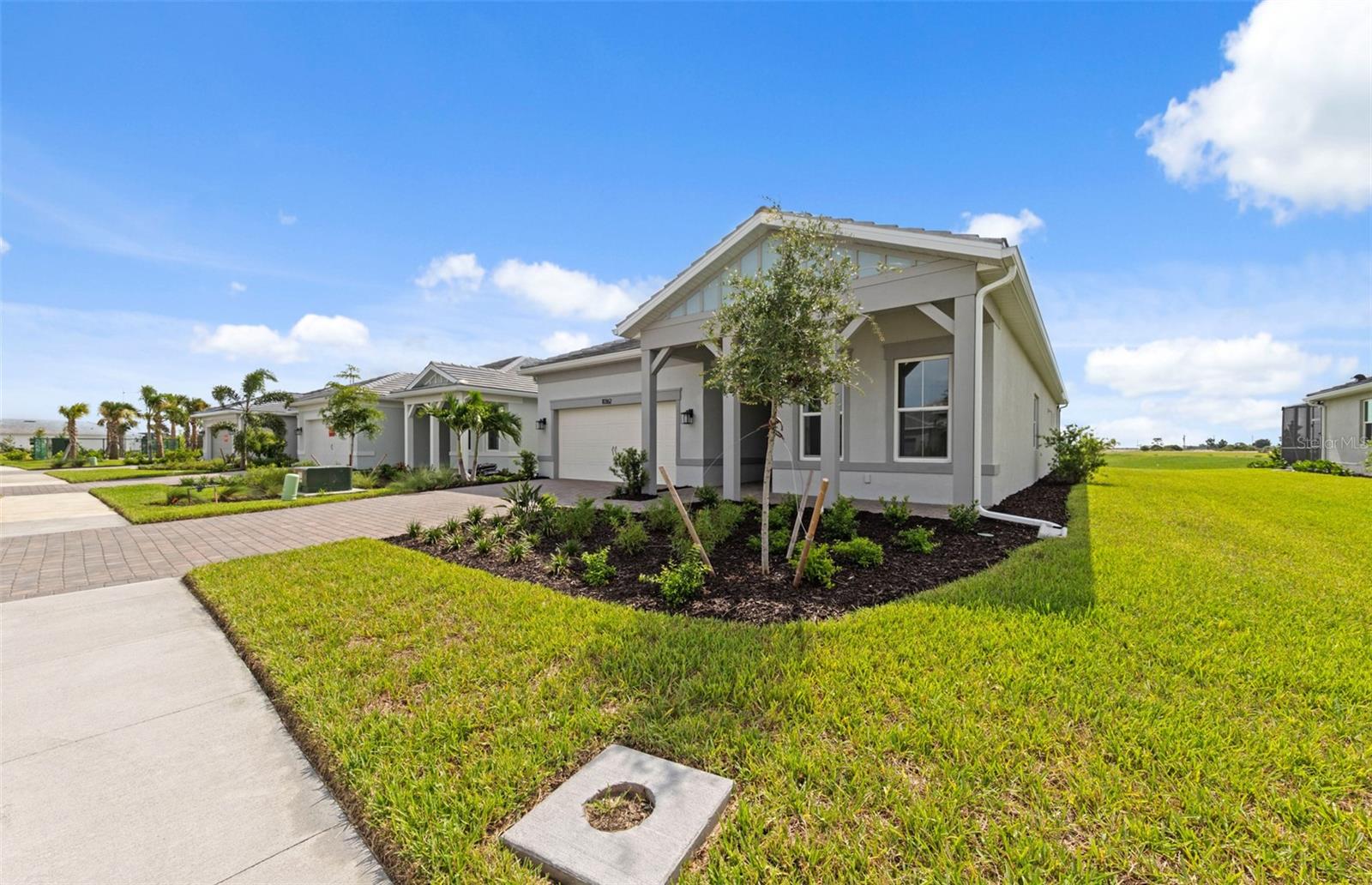 10362 BLUE RUNNER DR — photo 4