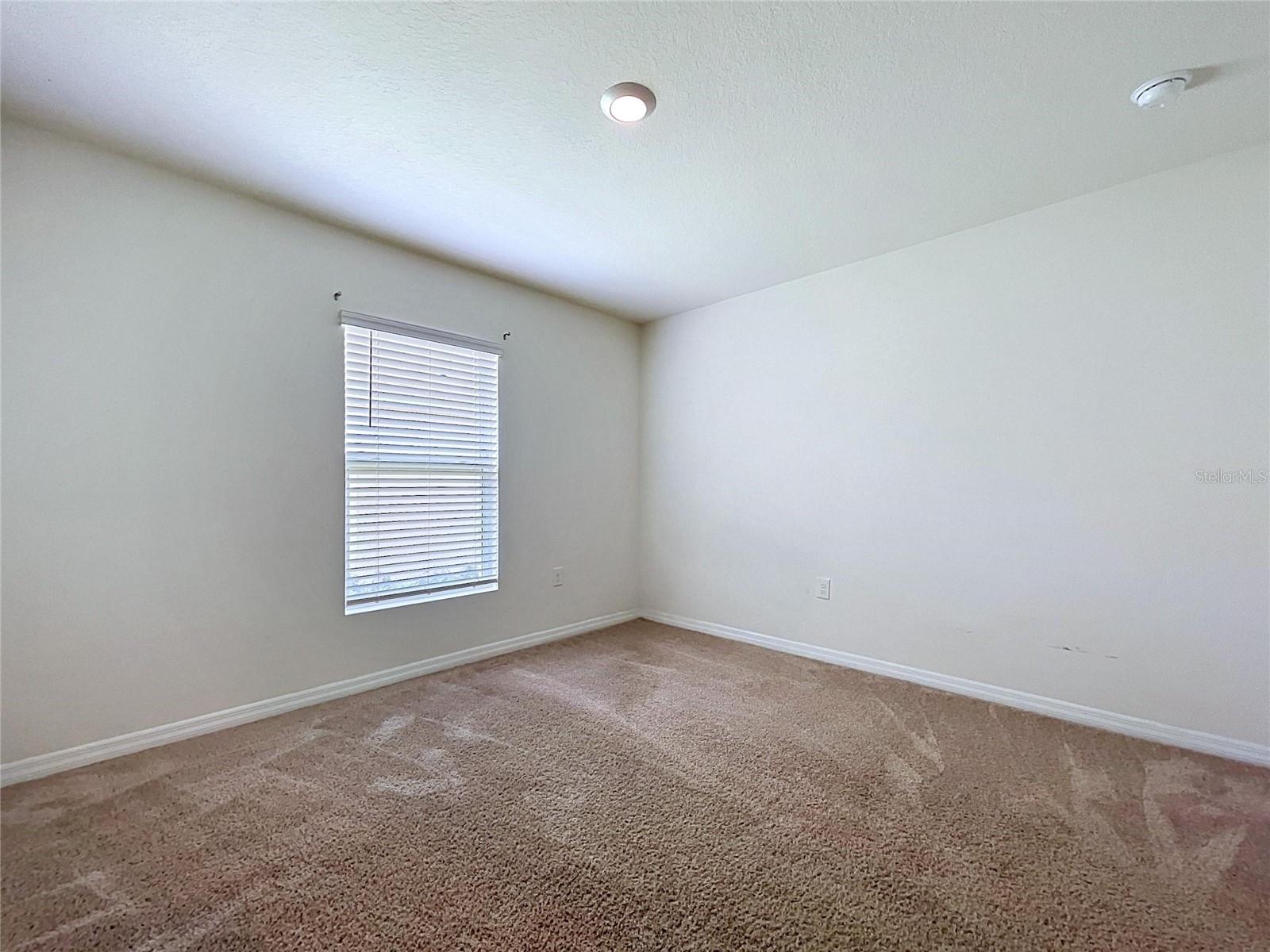 7804 DAVIE RAY DR — photo 9