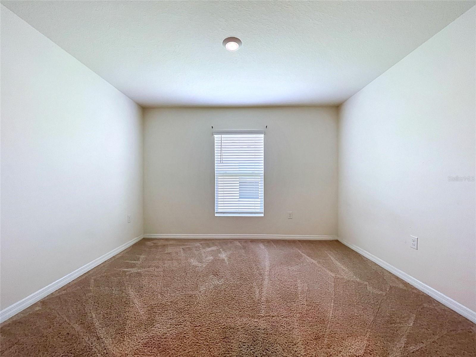 7804 DAVIE RAY DR — photo 19