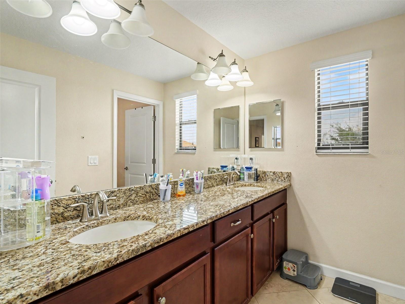 12027 CARDINAL FLOWER DR — photo 21