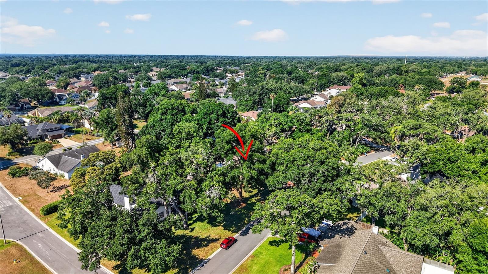 2713 WILLOW OAKS DR — photo 54