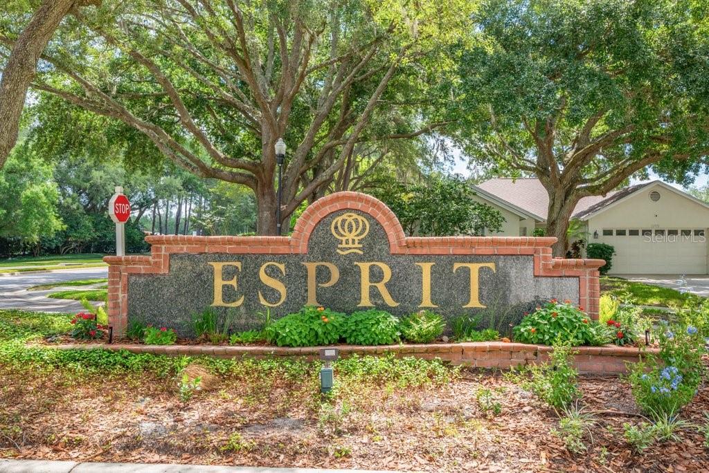17610 ESPRIT DR — photo 47
