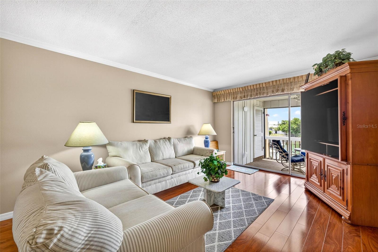 1008 APOLLO BEACH BLVD #206 — photo 16