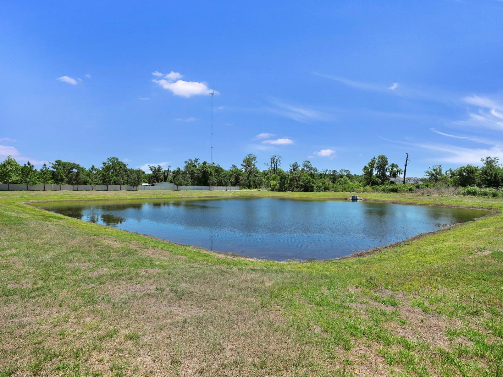 12048 ORCHID ASH ST — photo 42