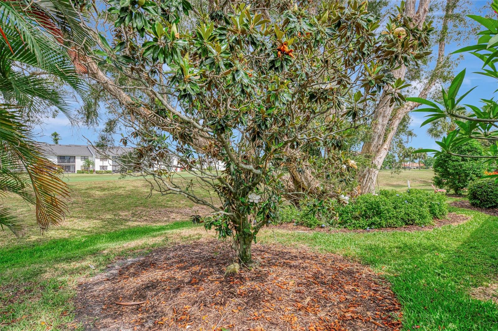 625 MISTY PINE DR — photo 44