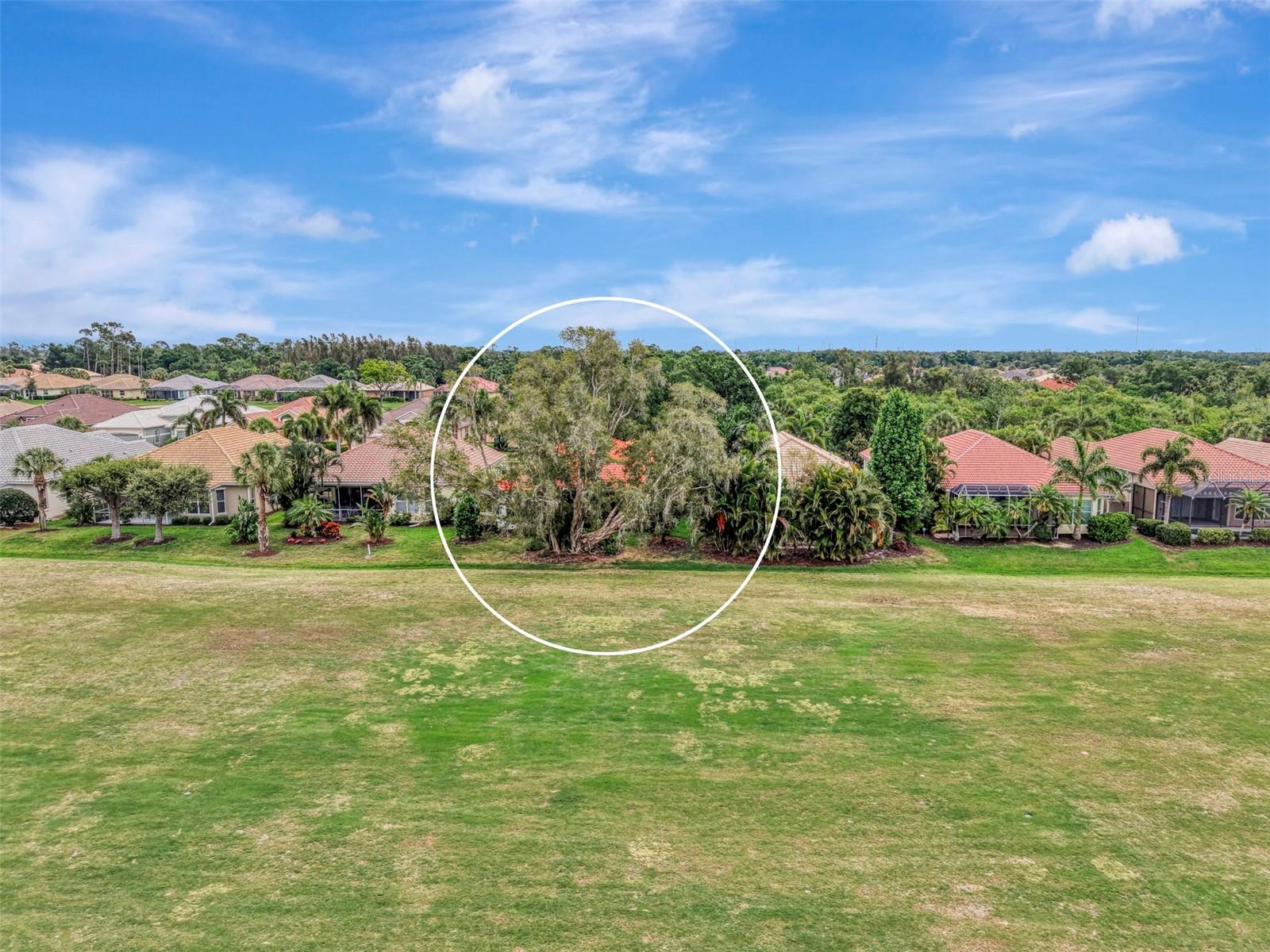 625 MISTY PINE DR — photo 49