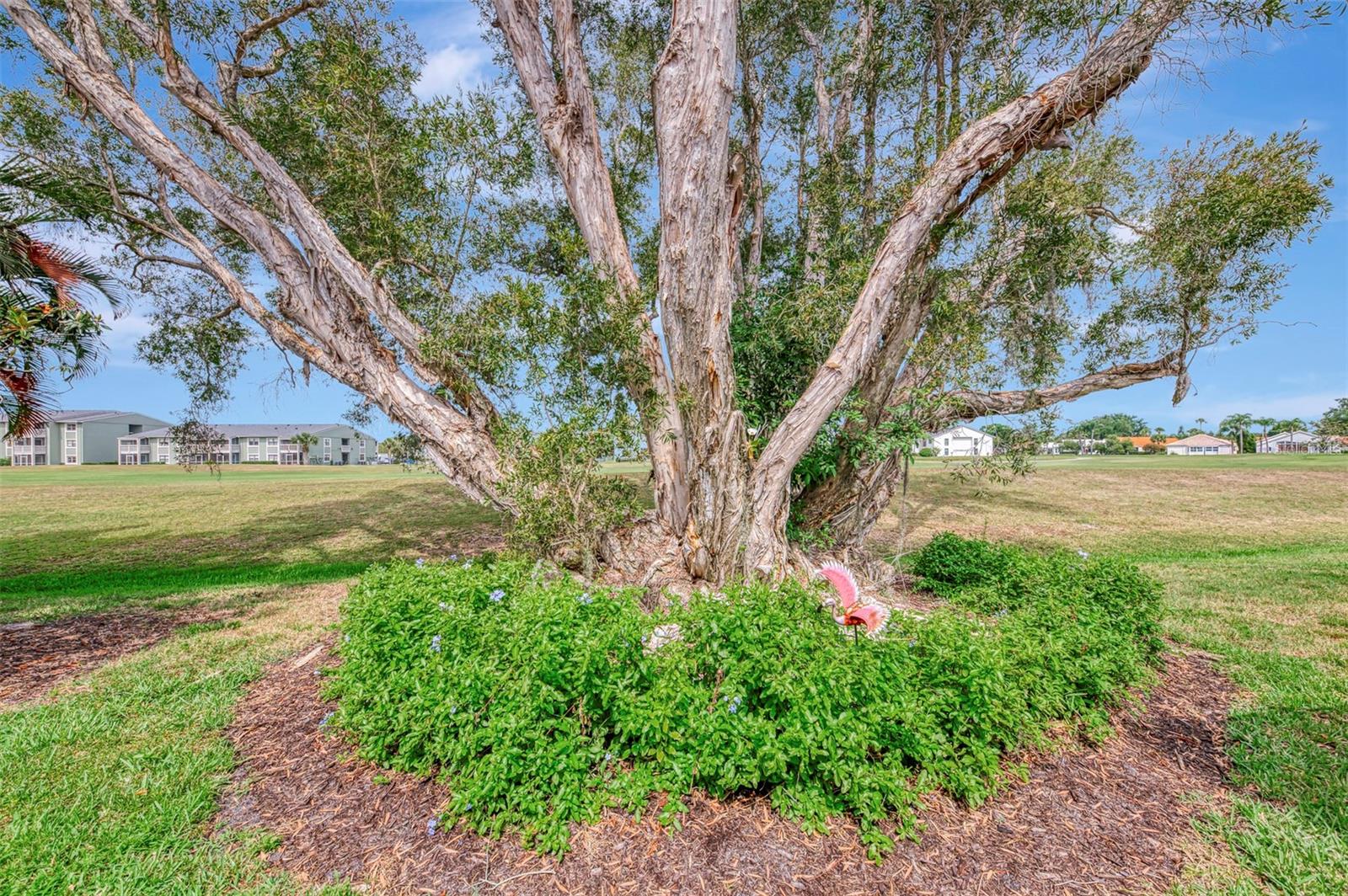 625 MISTY PINE DR — photo 45
