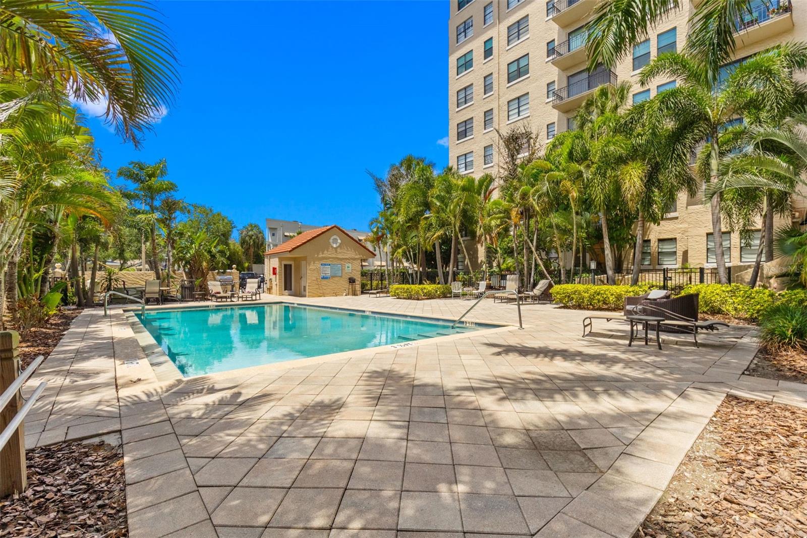 2109 BAYSHORE BLVD #205 — photo 25