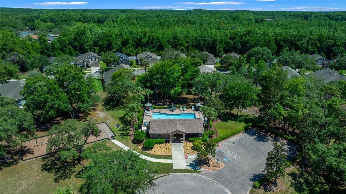 12044 COLONY LAKES BLVD — photo 43