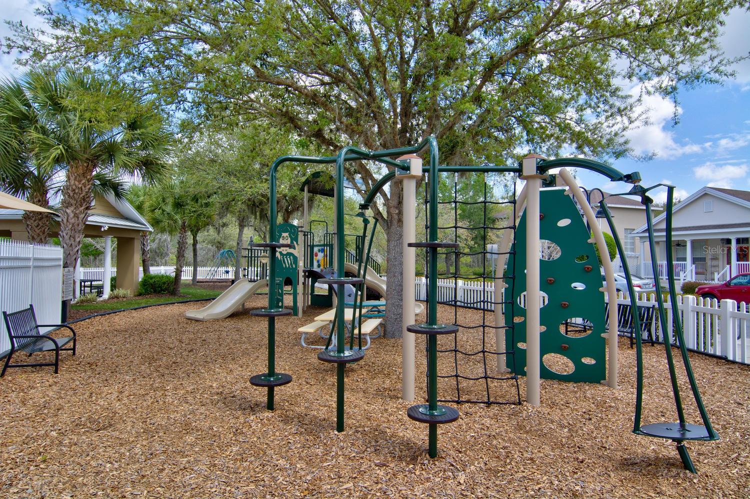 10426 MOUNT DORA ST — photo 36