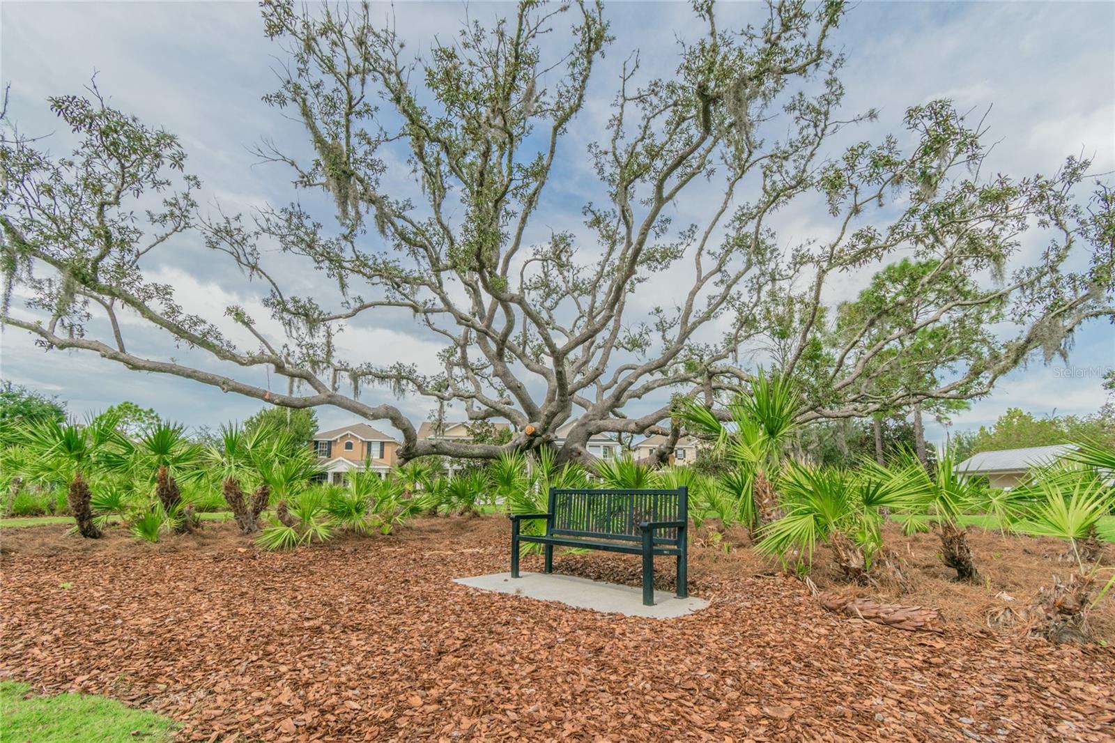 10426 MOUNT DORA ST — photo 43