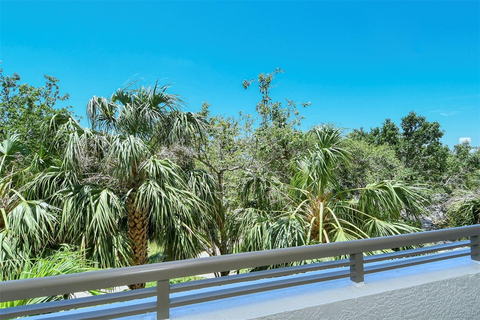 800 N TAMIAMI TRL #203 — photo 9