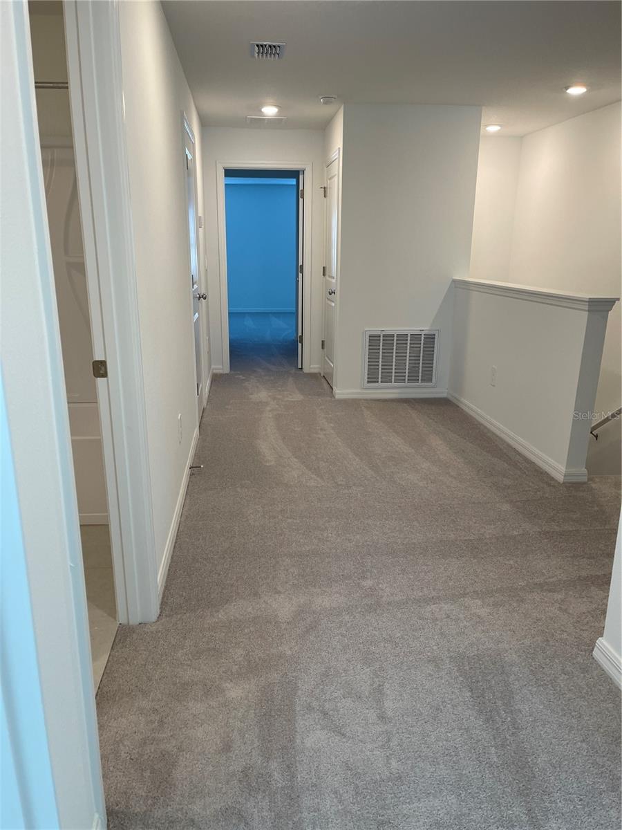 36217 RISA MICHELE ST — photo 15