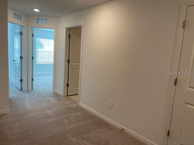 36217 RISA MICHELE ST — photo 14