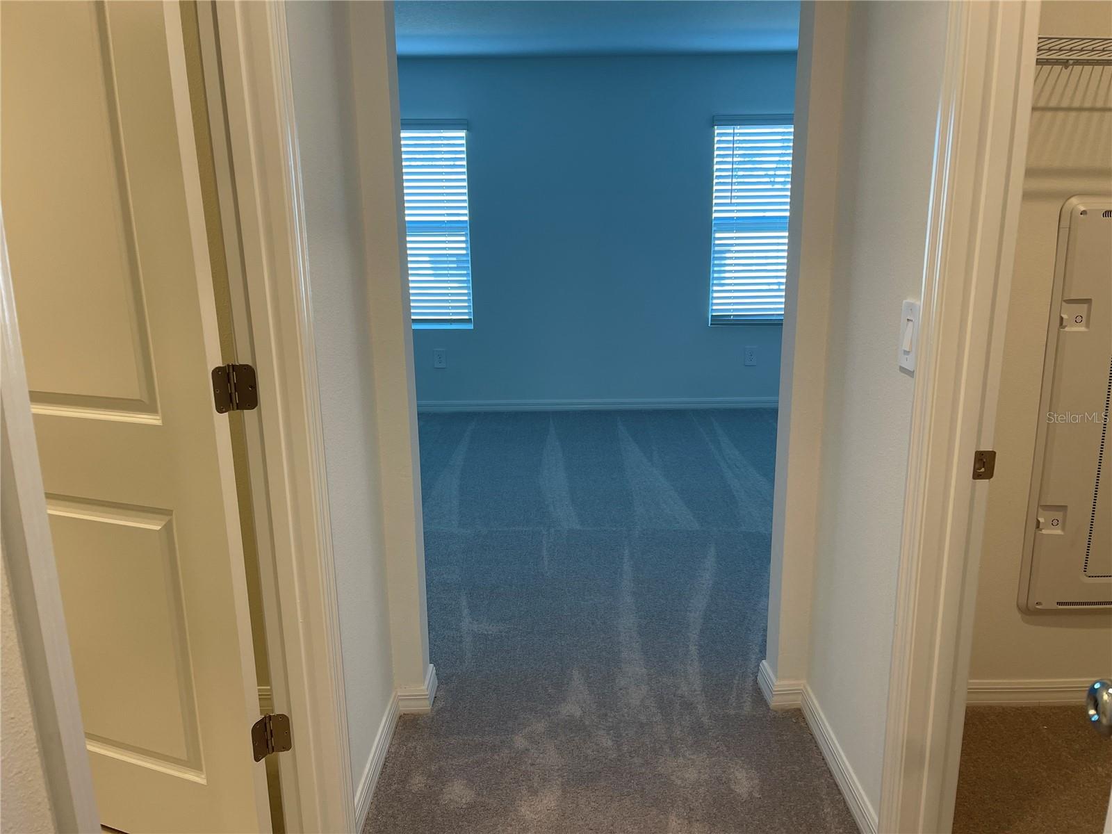 36217 RISA MICHELE ST — photo 17