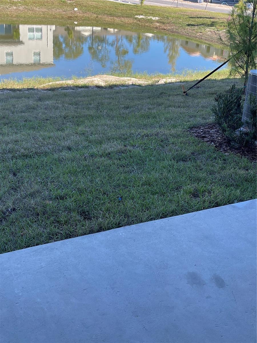 36217 RISA MICHELE ST — photo 12