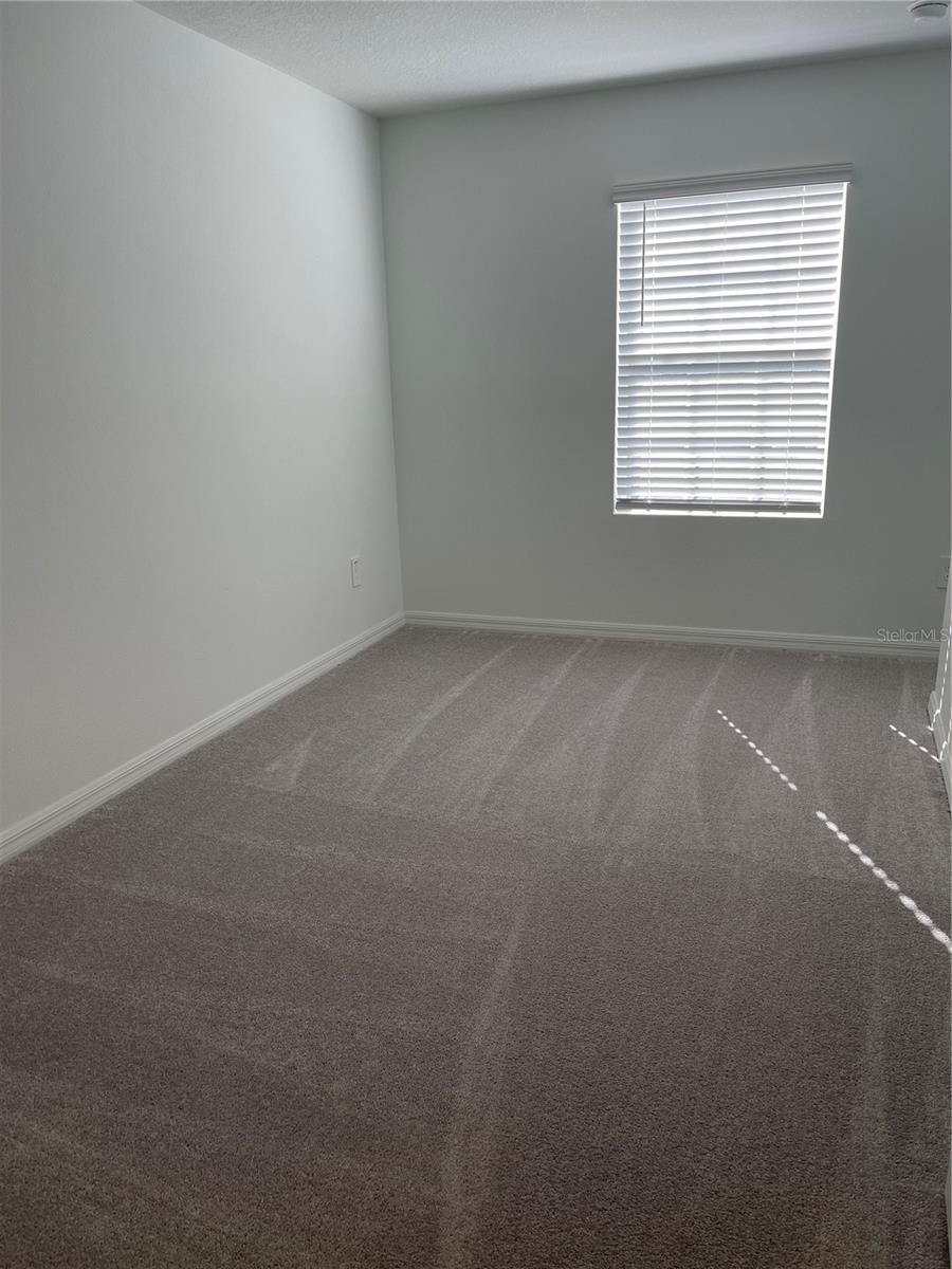 36217 RISA MICHELE ST — photo 24
