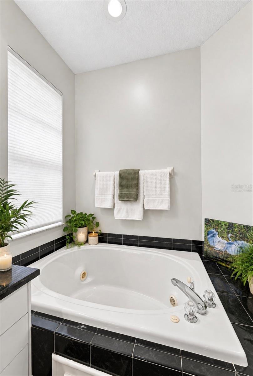 9310 SOUCHAK DR — photo 23