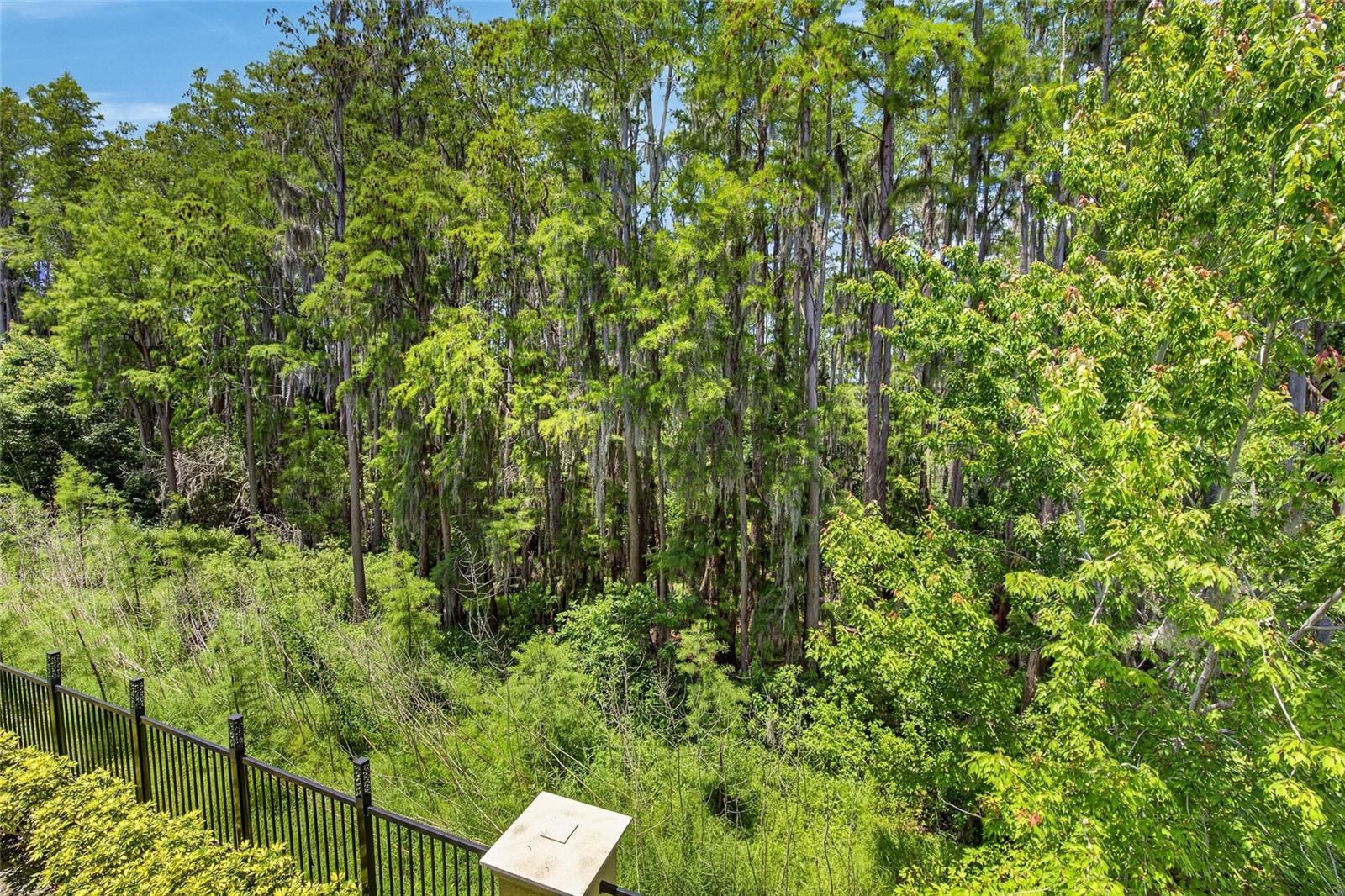 750 GRAND CYPRESS LN — photo 75