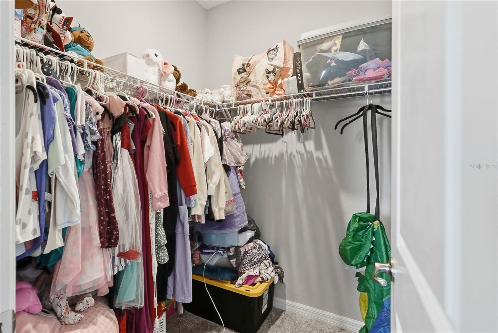 10808 WHITLAND GROVE DR — photo 38