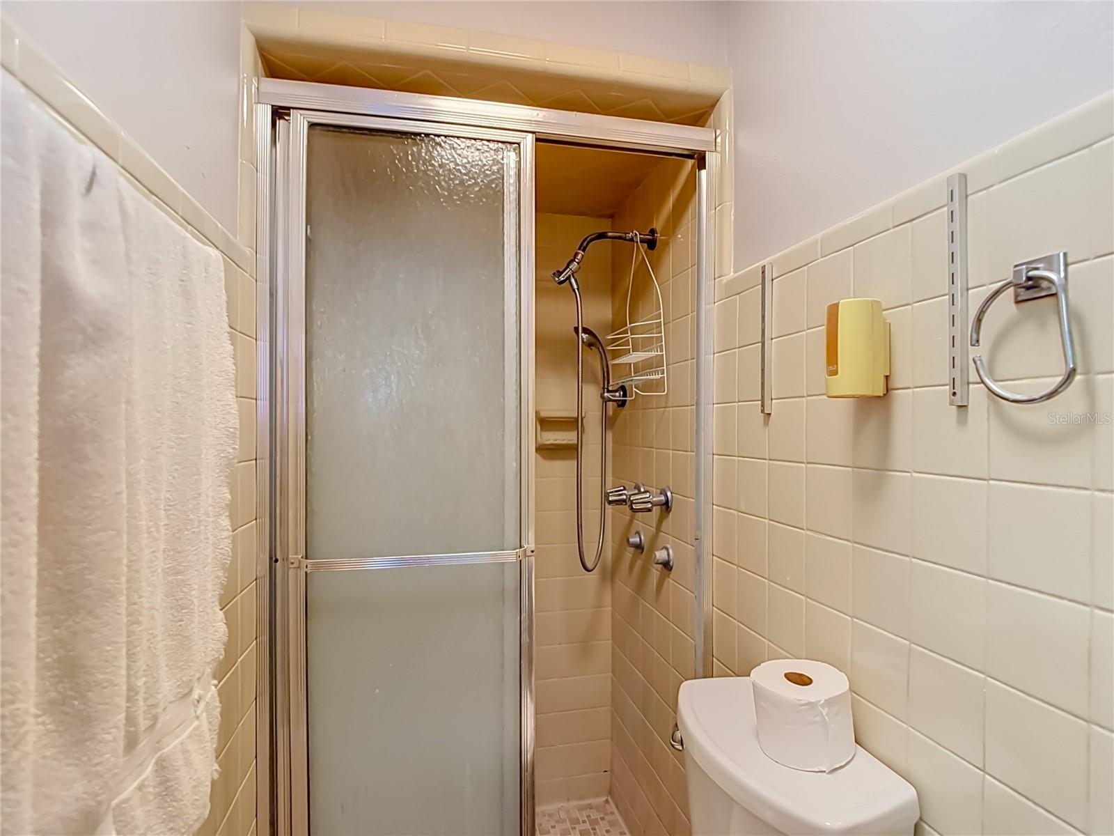 1304 E DIANA ST — photo 36