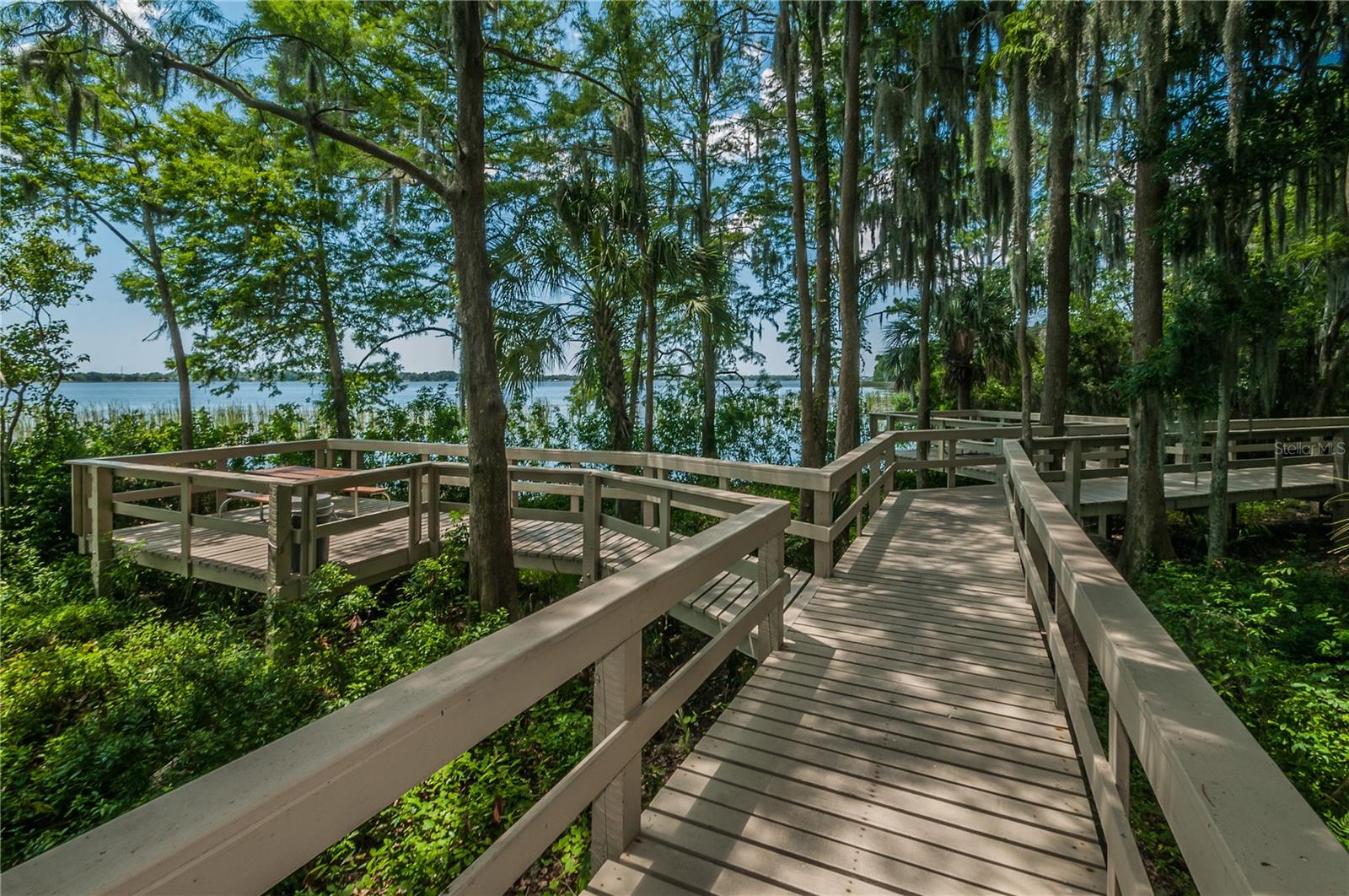 4561 ROANOAK WAY — photo 66