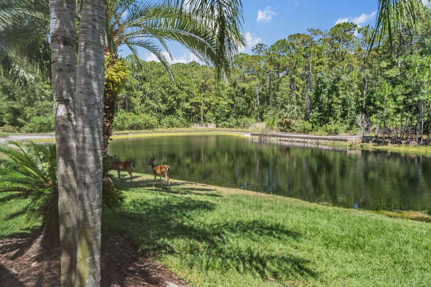 4561 ROANOAK WAY — photo 52