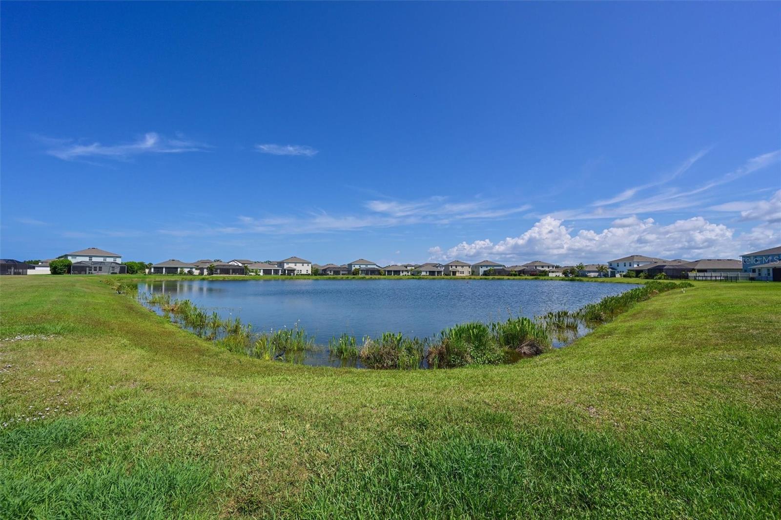 12645 PROMENADE ESTATES BLVD — photo 28