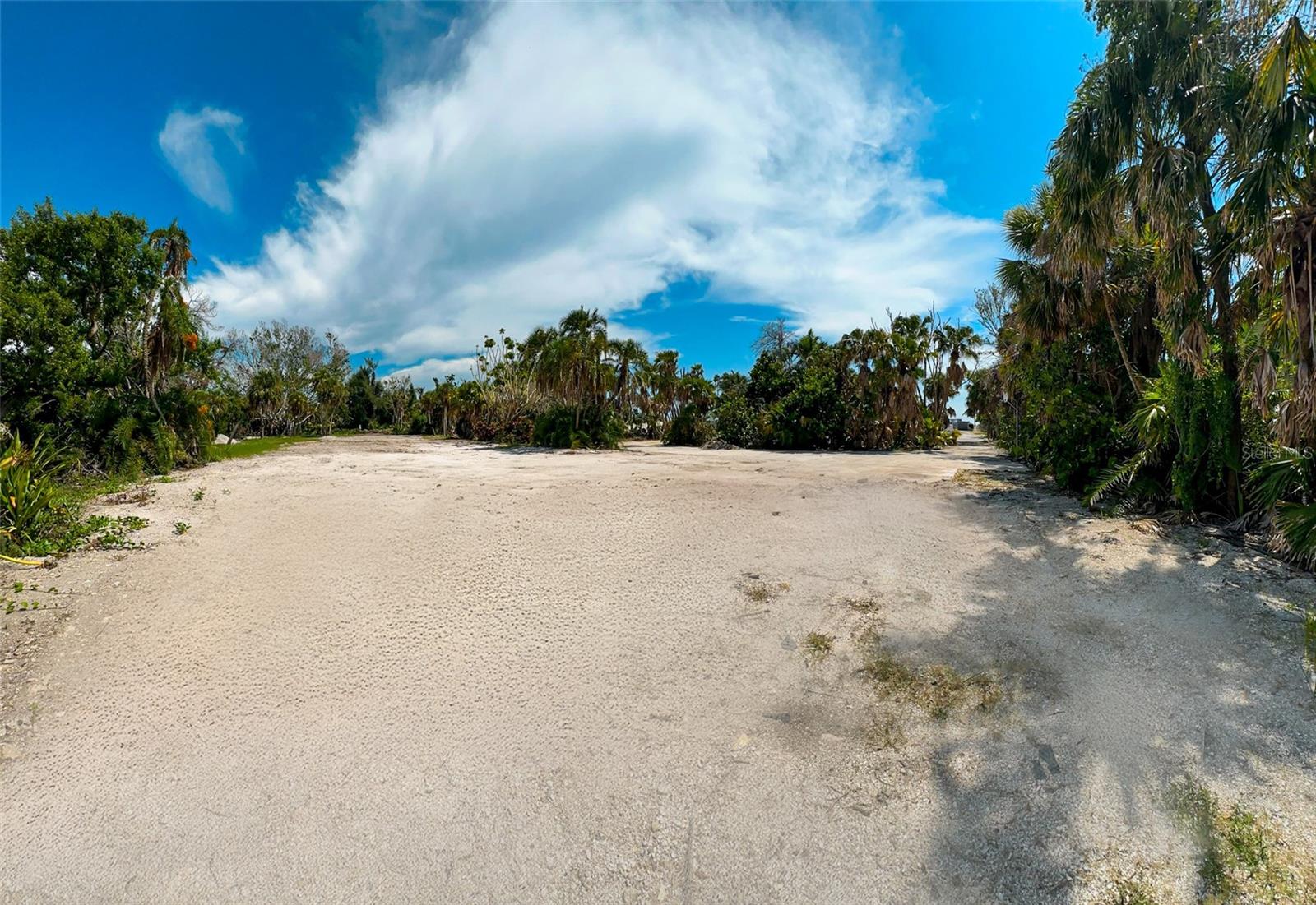 7825 SANDERLING RD — photo 14