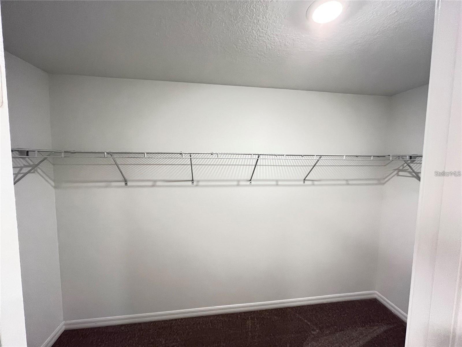 31454 BARREL WAVE WAY — photo 9