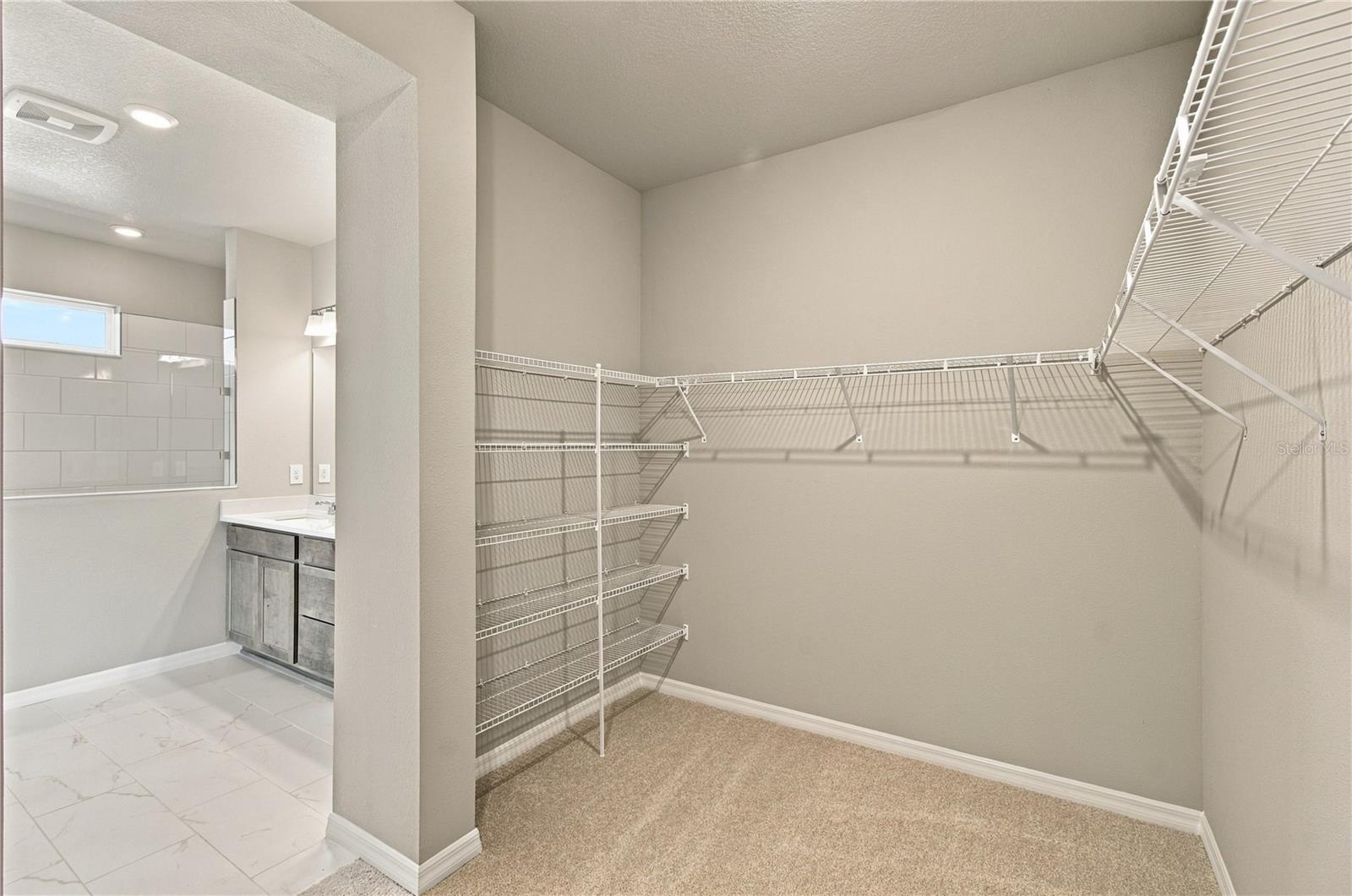 437 SPRING HARVEST DR — photo 17