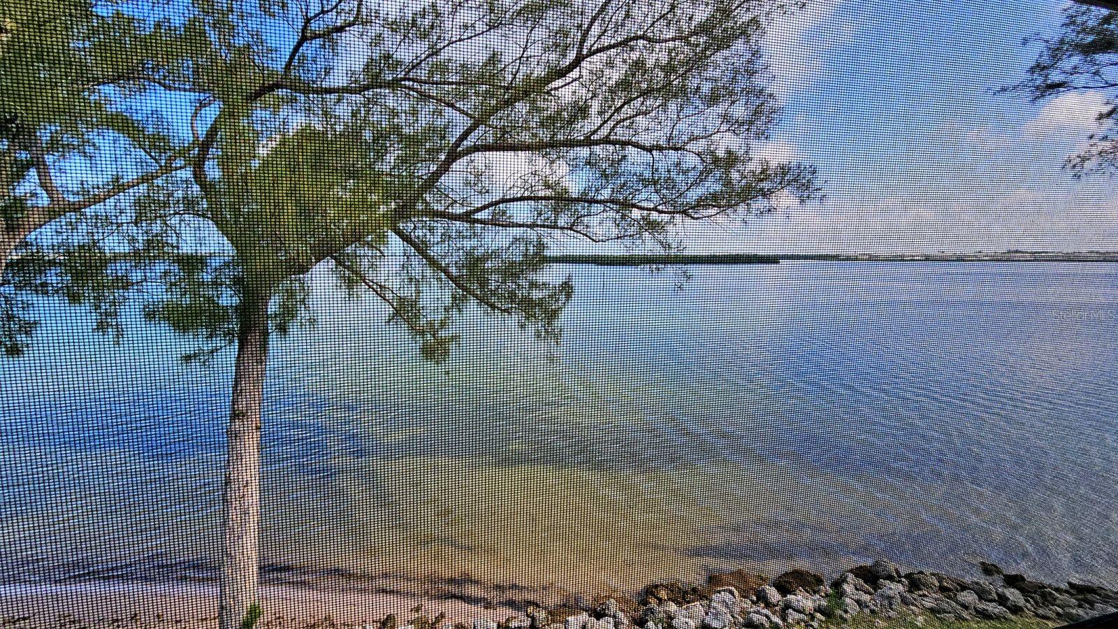 3840 MARINERS WAY #524A — photo 13