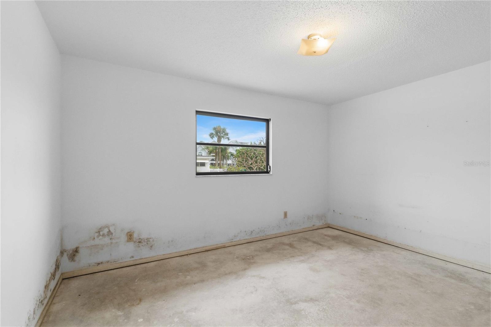 306 PALM AVE — photo 17