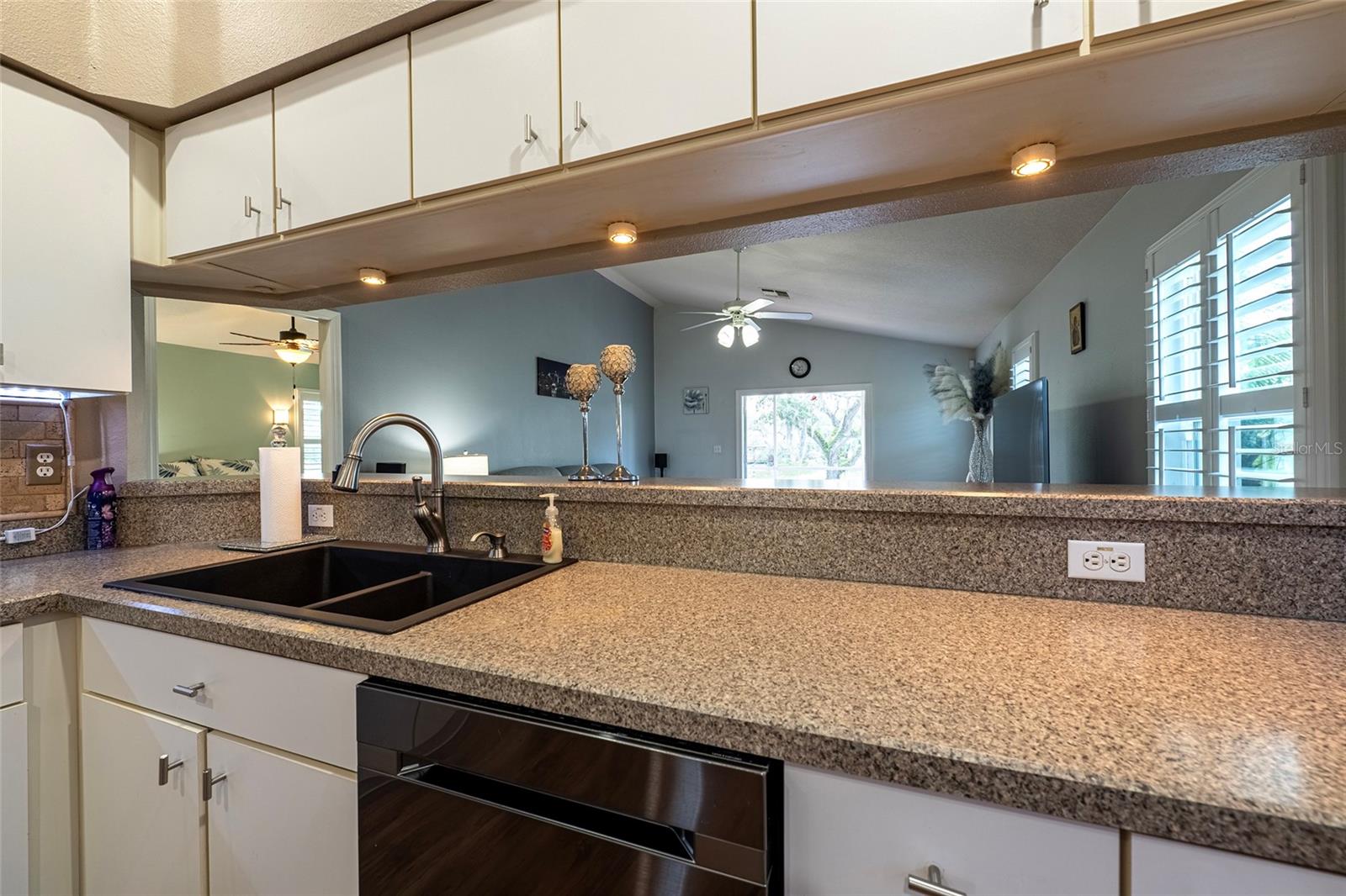 13253 GOLF RIDGE PL — photo 9