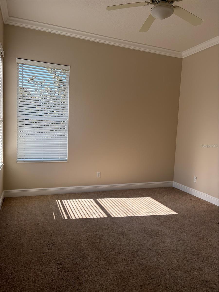 7779 AROLLA PINE BLVD — photo 16