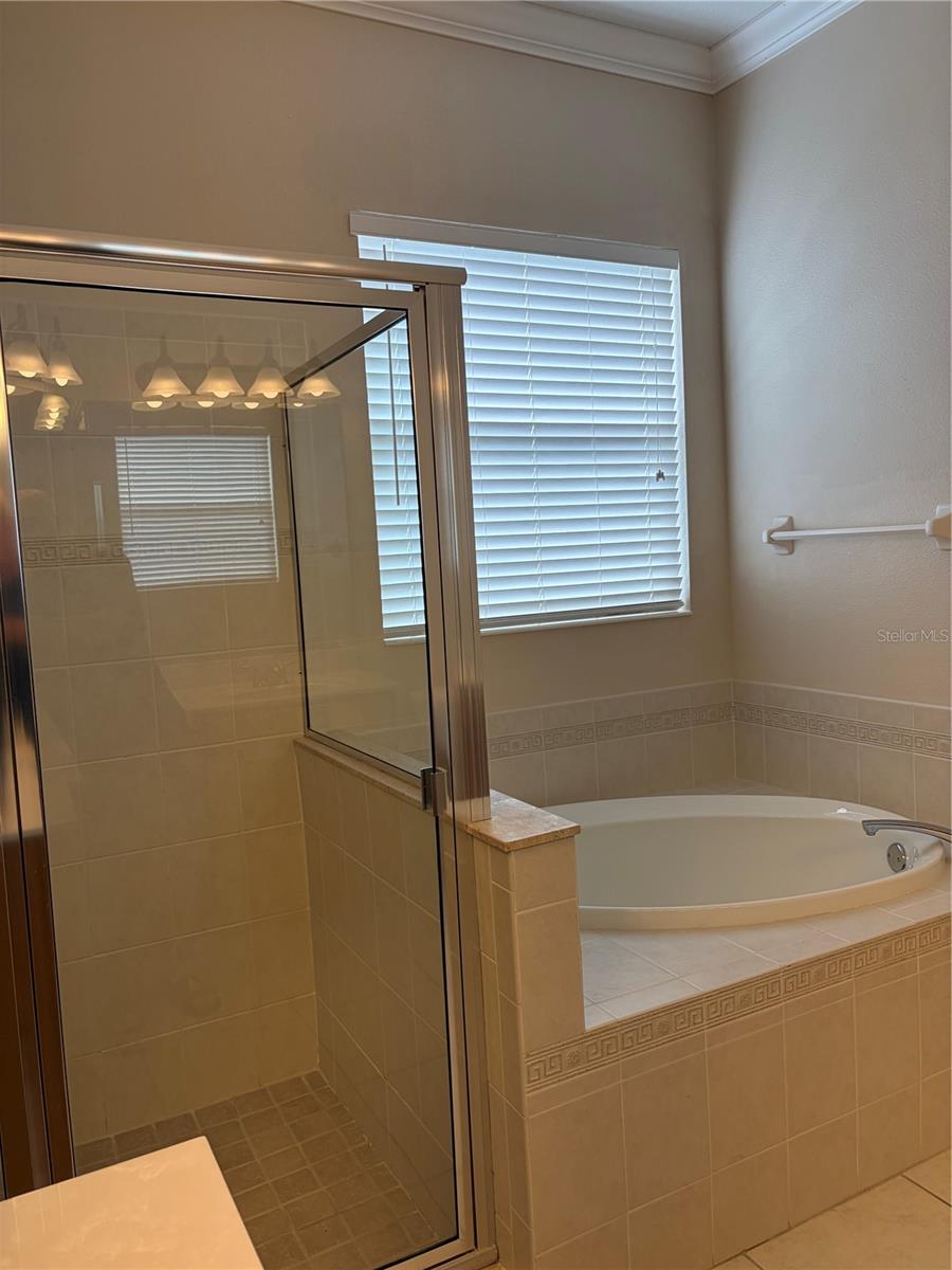 7779 AROLLA PINE BLVD — photo 15