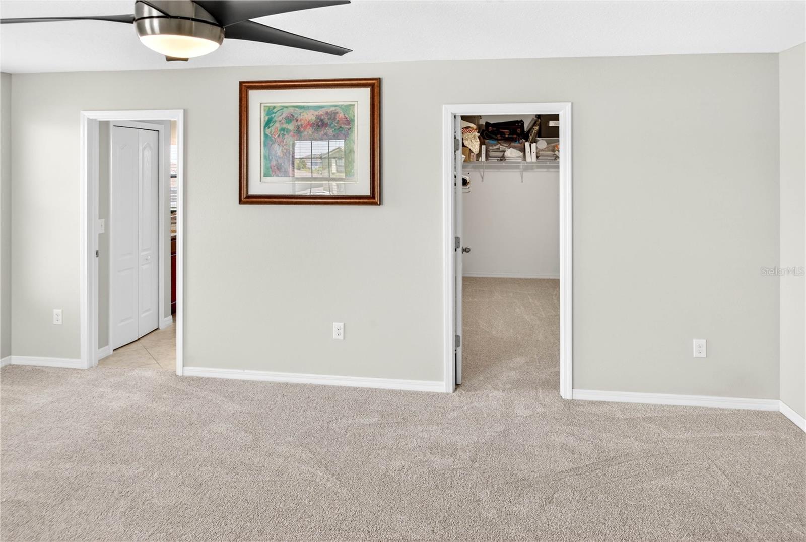 13415 WHITE SAPPHIRE RD — photo 48